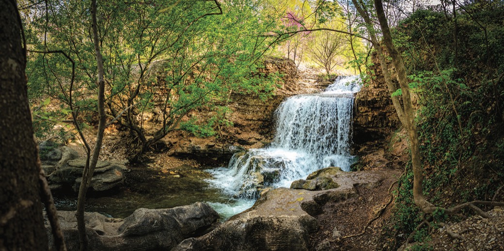 Waterfall on a wooded Bella Vista creek